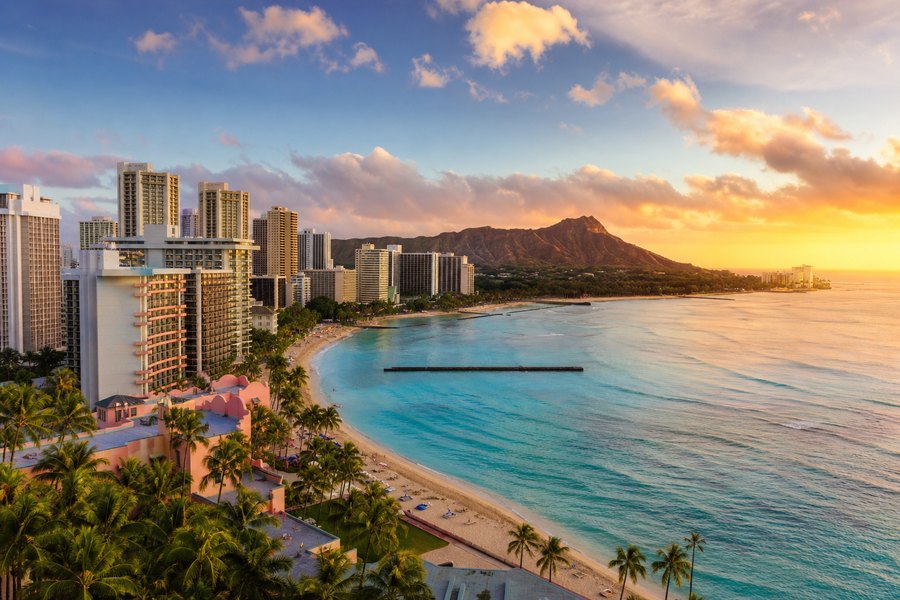 Illustration photographique : le littoral tropical, les palmiers et le relief de Diamond Head à Honolulu.