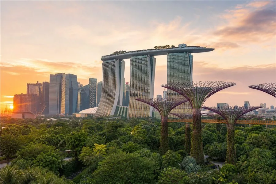 Marina Bay et les Supertrees dans la végétation de Singapour. Illustration éditoriale, scène imaginaire.